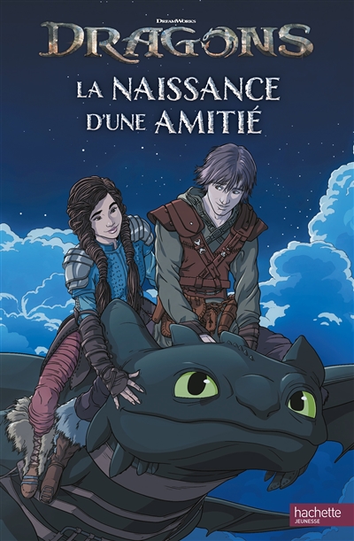 Dragons : l'histoire du film
