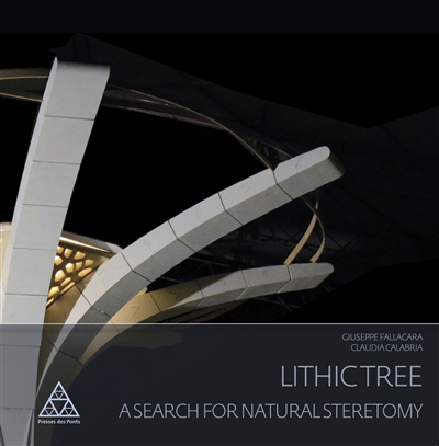Lithic tree : a search for natural stereotomy : report of the workshop Stereotomy. Ancient and modern practices. Troyes, 1st-6th July 2013, SNBR