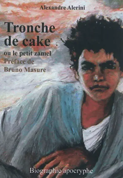 Tronche de cake ou Le petit zamel