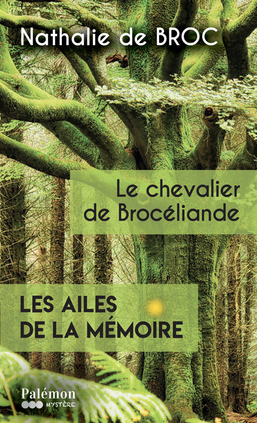 Les ailes de la mémoire. Vol. 2. Le chevalier de Brocéliande