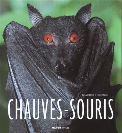 Chauves-souris