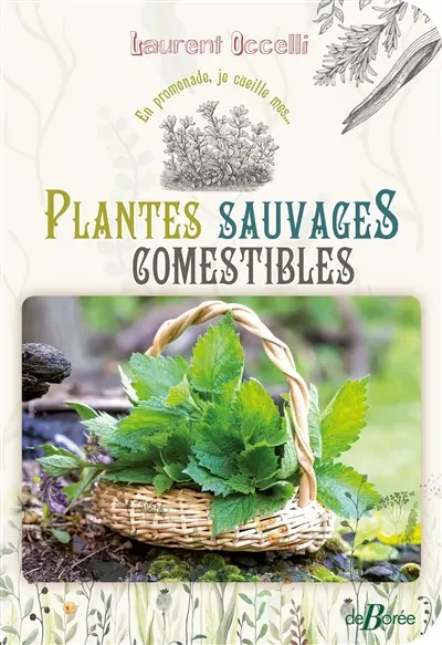 En promenade, je cueille mes... plantes sauvages comestibles : 30 plantes à découvrir : 80 recettes à déguster