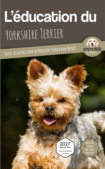 L'éducation du yorkshire terrier : toutes les astuces pour un yorkshire bien éduqué : 2021