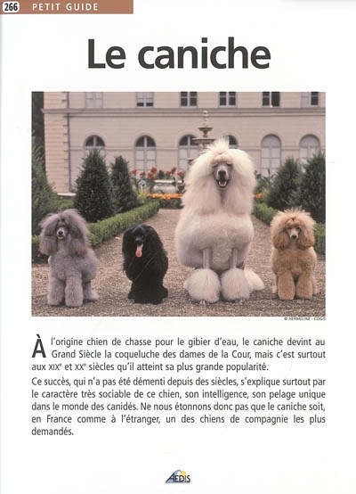 Le caniche