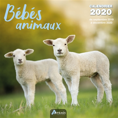 Bébés animaux : calendrier 2020 : de septembre 2019 à décembre 2020