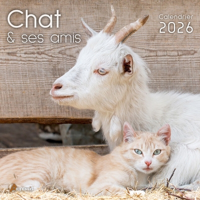 Chat & ses amis :...