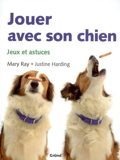 Jouer avec son chien : jeux et astuces