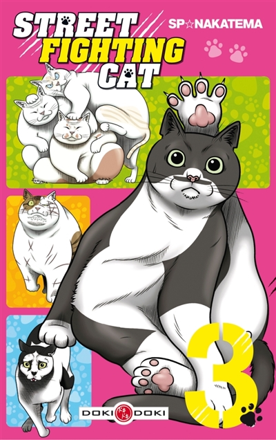 Street fighting cat. Vol. 3