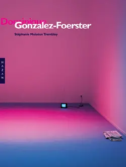 Dominique Gonzalez-Foerster