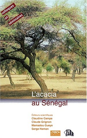 L'acacia au Sénégal