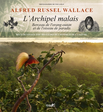 L'archipel malais : berceau de l'orang-outan et de l'oiseau de paradis : récit de voyage avec des études de l'homme et de la nature