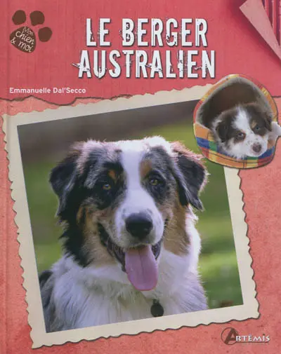 Le berger australien