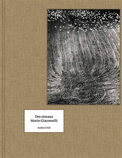 Des oiseaux