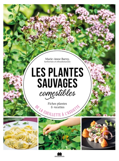 Les plantes sauvages comestibles : de la cueillette à l'assiette : fiches plantes & recettes