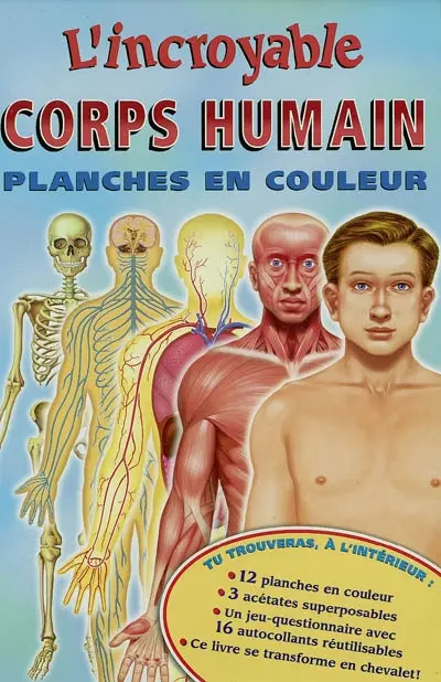 Le corps humain