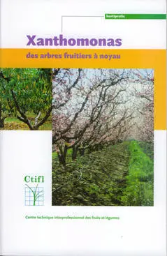 Xanthomonas des arbres fruitiers à noyau