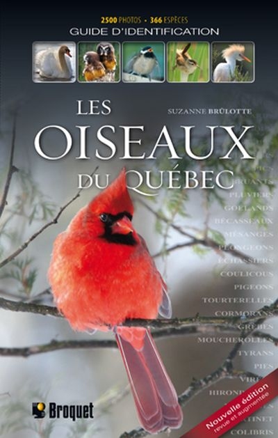 Les oiseaux du Québec : guide d'identification