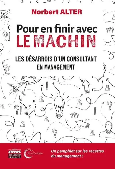 Pour en finir avec le machin : les désarrois d'un consultant en management