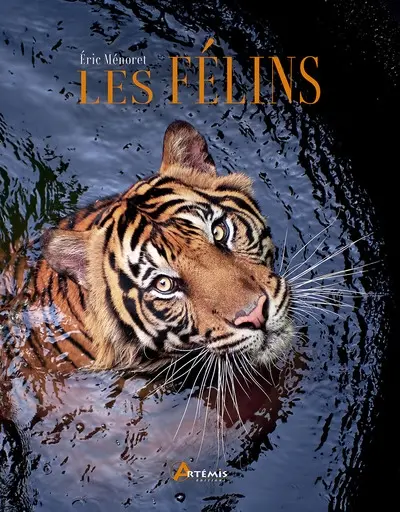 Les félins