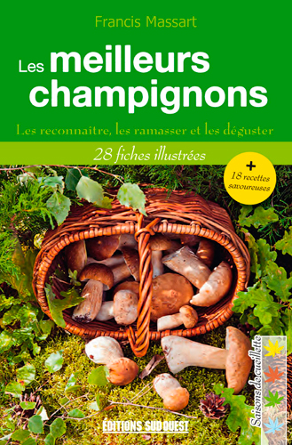 Les meilleurs champignons : les reconnaître, les ramasser et les déguster : 28 fiches illustrées