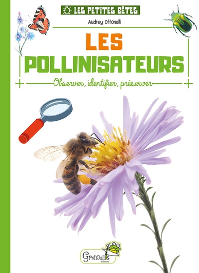 Les pollinisateurs : observer, identifier, préserver
