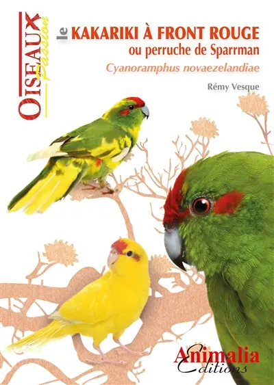 Le kakariki à front rouge ou perruche de Sparrman : cyanoramphus novaezelandiae