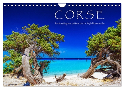 Corse : fantastiques côtes de la Méditerranée (Calendrier mural 2025 DIN A4 vertical), CALVENDO calendrier mensuel : Eté, soleil, plage et mer
