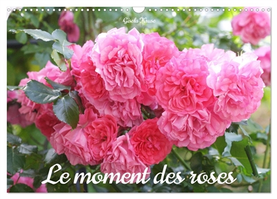 Le moment des roses...