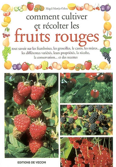 Comment cultiver et récolter les fruits rouges
