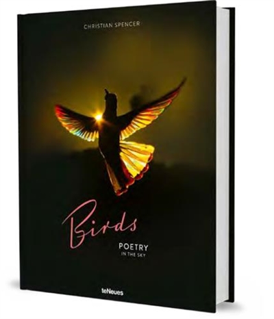 Christian Spencer Birds