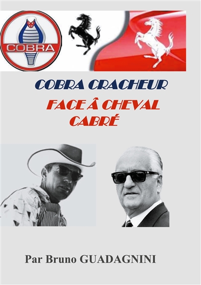Cobra cracheur face à...