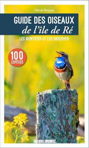 Guide des oiseaux de l'île de Ré : les connaître et les observer