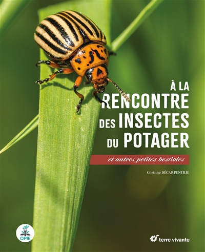 A la rencontre des insectes...