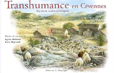 Transhumance en Cévennes, du mont Lozère à Colognac