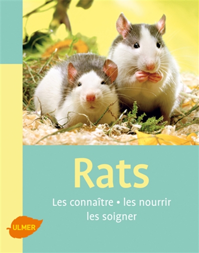 Rats : les connaître, les nourrir, les soigner