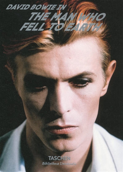 David Bowie : The man who fell to Earth