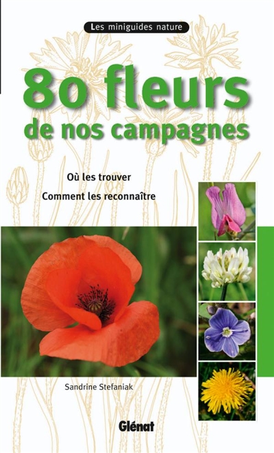 80 fleurs de nos campagnes : où les trouver, comment les reconnaître