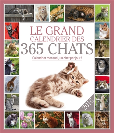 Le grand calendrier des 365 chats 2016 : calendrier mensuel, un chat par jour !