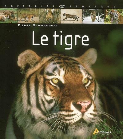 Le tigre (mat)