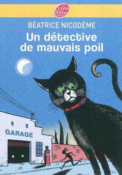 Un détective de mauvais poil