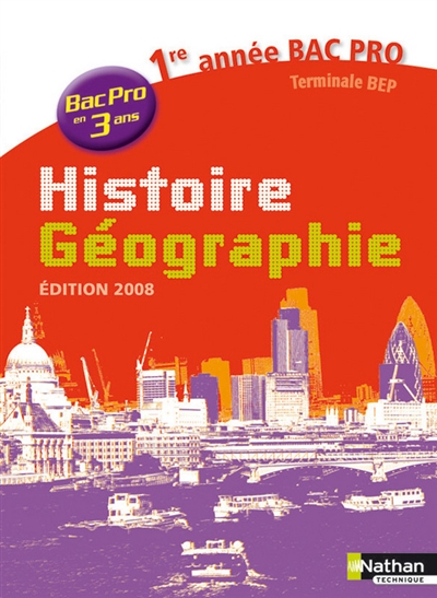 Histoire géographie 1re année bac pro 3 ans 2008 : cahier d'activités de l'élève