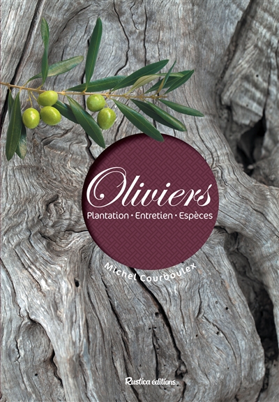 Oliviers : plantation, entretien, espèces