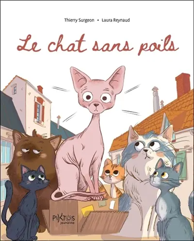 Le chat sans poils