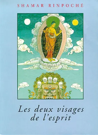 Les deux visages de l'esprit : traité de la distinction entre la conscience partielle et la connaissance primordiale