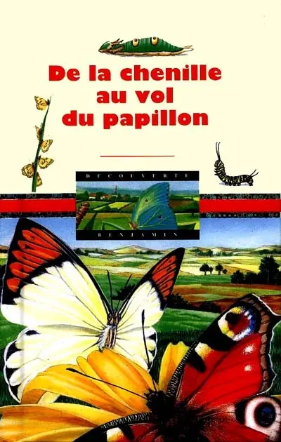De la chenille au vol du papillon
