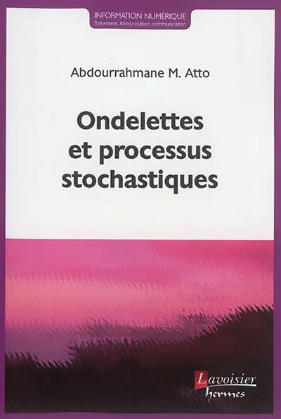 Ondelettes et processus stochastiques