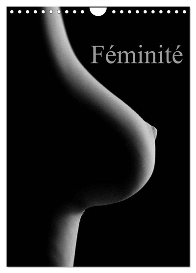 Féminité (Calendrier mural 2025 DIN A4 horizontal), CALVENDO calendrier mensuel : Prises érotiques du corps féminin.