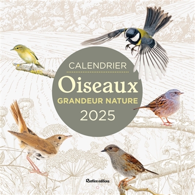 Oiseaux grandeur nature :...