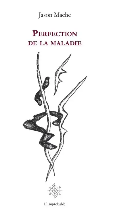 Ambre. Vol. 2. Perfection de la maladie