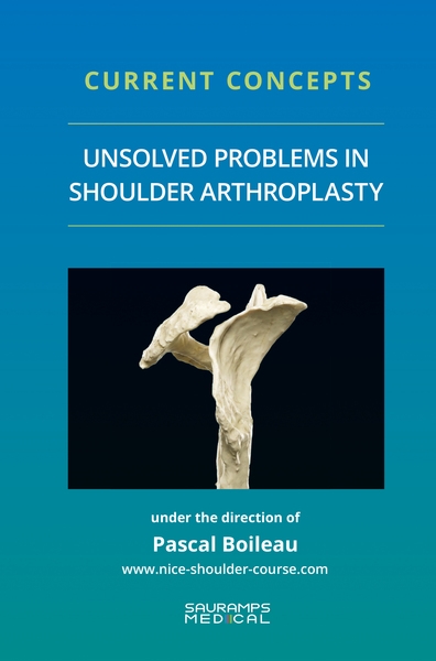 Unsolved problems in...